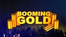 Booming Gold (Бумерское золото)