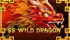 88 Wild Dragon (88 Дикий Дракон)